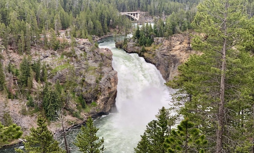 Exploring Yellowstone and Montana Waters with Expert Fly Fishing Guidance